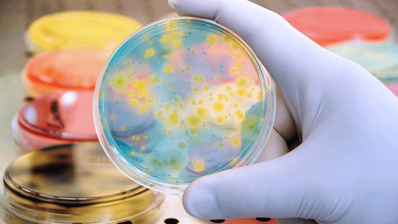 生物医药外包项目文档管理：合规与效率的双重保障**
