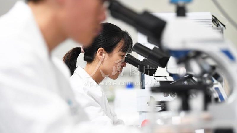 多重实时荧光PCR引物设计的五大关键步骤