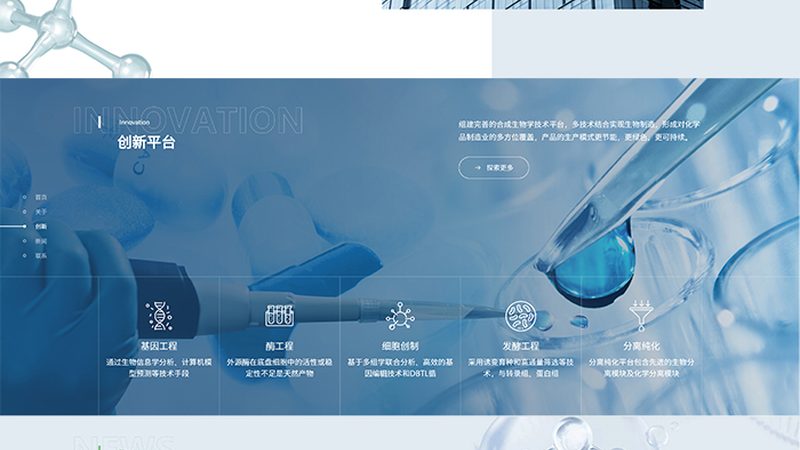 选择加盟代理公司时，要关注其信誉和口碑。可以通过以下途径了解：