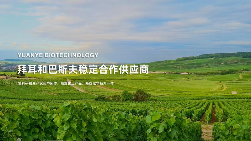 自测PCR试剂盒哪个牌子好