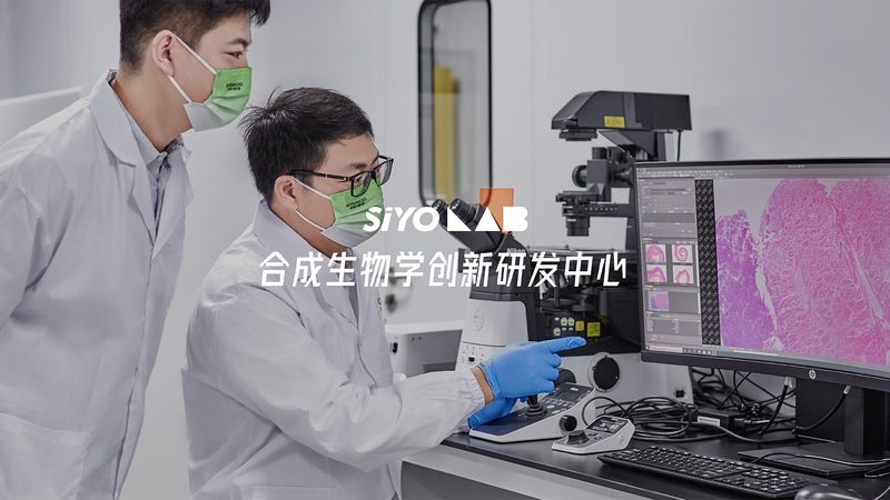 国内生物医药CRO公司排名：揭秘行业实力与选择标准