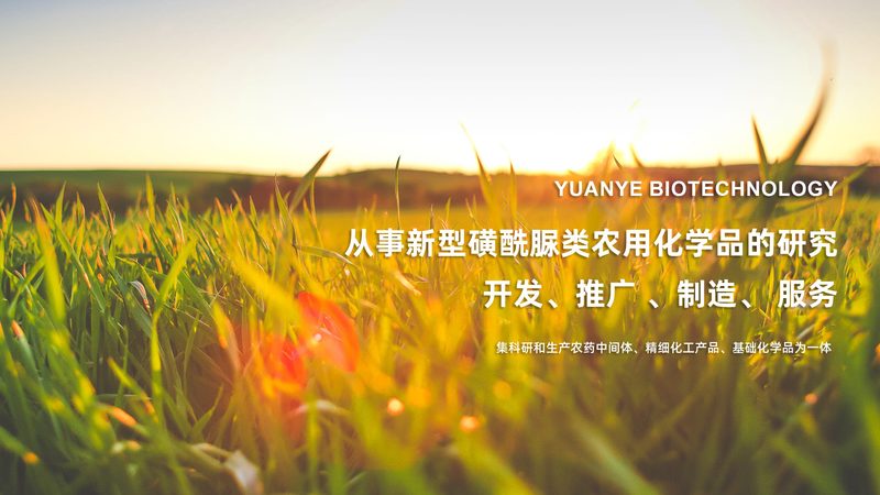 成都生物试剂标准品：精准科研的基石**