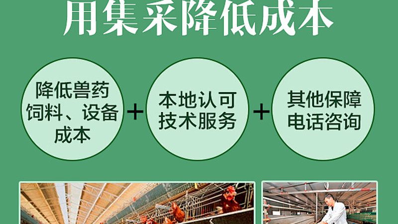 CDMO工艺流程参数设置的奥秘与关键