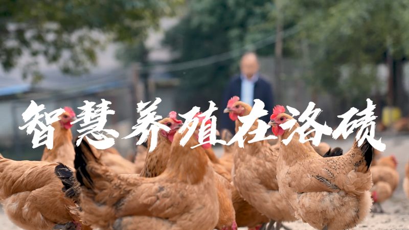 细胞培养，从选择合适的培养箱开始**